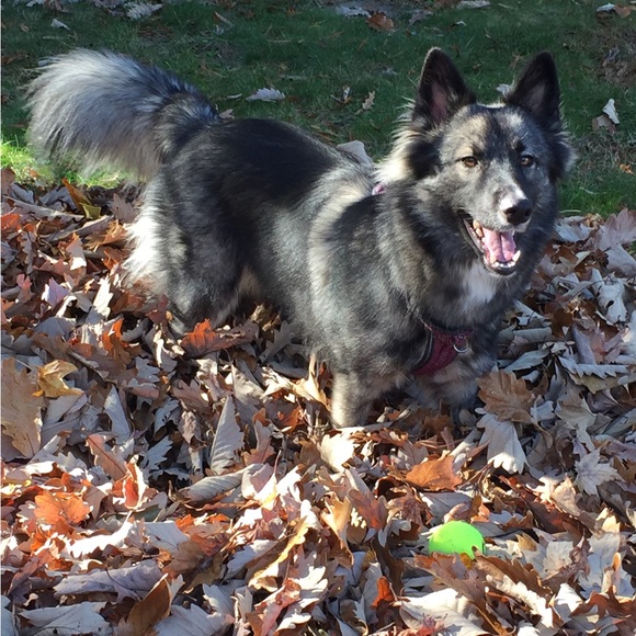 🌷 Poshmark Ambassador • Kathy - Picture 11 of 14